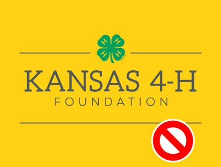 Foundation logo over the wrong color background