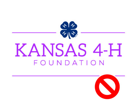 Foundation Logo - Wrong Colors