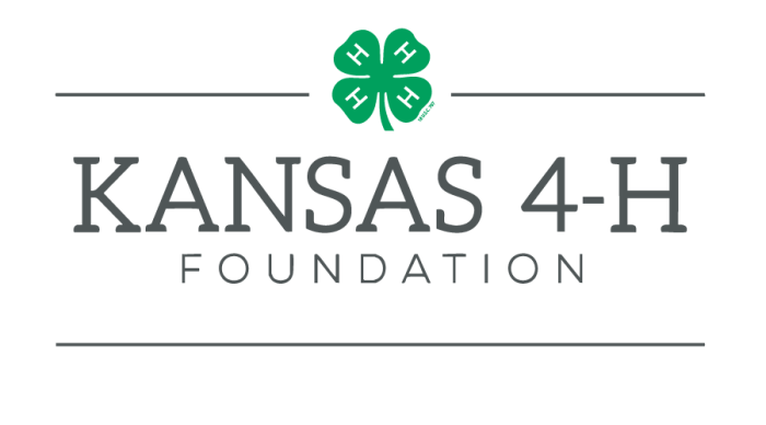 PNG Logo
